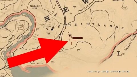 RED DEAD REDEMPTION 2! HOW AND WHERE TO FIND A RACCOON EASIL