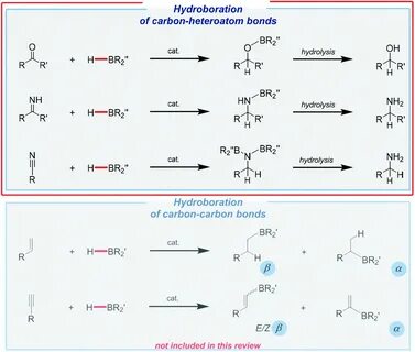 Hydrosilylation and hydroboration in a sustainable manner: f