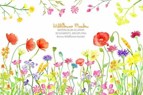 Watercolor Wild flower Meadow Wild flower meadow, Flower bor