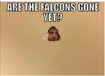 Funny falcons Memes