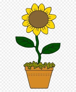 Download High Quality sunflower clipart cartoon Transparent 