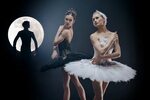 Swan Lake Wallpapers High Quality Download Free