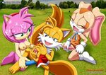 Mobius Unleashed: Amy Rose - 297/302 - Hentai Image