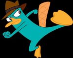 Perry The Platypus Normal Related Keywords & Suggestions - P