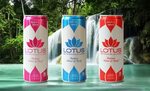 Lotus Elixirs Expands Distribution Beyond the Natural Channe