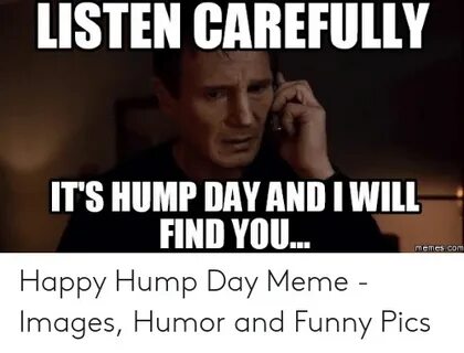 🐣 25+ Best Memes About Sexual Hump Day Memes Sexual Hump Day