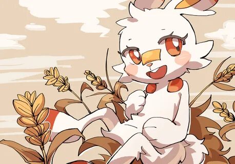 Scorbunny gif