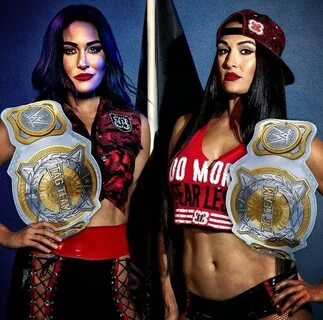 Brie & Nikki Bella do you think they have what it takes to c