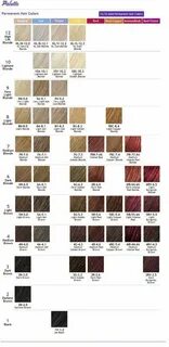 Wendy Castro (wendycastroh3m) Ion color brilliance, Hair col