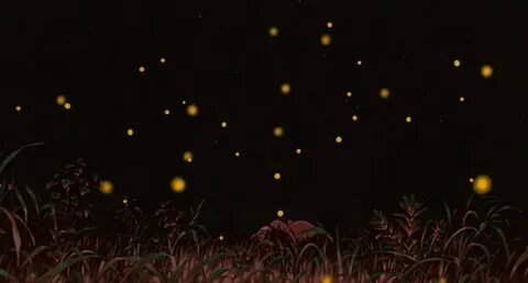 tapishwar в Твиттере: "Grave of Fireflies/Jojo Rabbit.