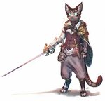 Tabaxi by Xylerz on DeviantArt Character design inspiration,