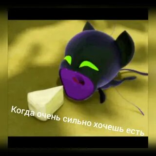 Плагг 🐞 Russian Miraculers 🐞 Amino