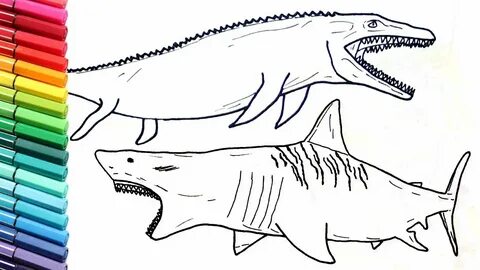 Megalodon Shark and Jurassic World Mosasaur Dinosaurs Color 