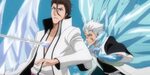 Facts about Hitsugaya Toshiro, Captain of the 10th Division 