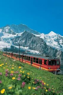 Mit gutem Gewissen hoch hinaus - 25 alpine Orte bieten natur