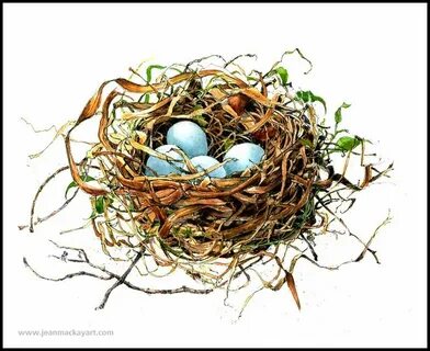 Nest art, Bird nest painting, Bird nests art