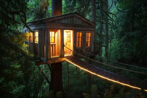 Treehouse Point Tree house, House in the woods, Treehouse po