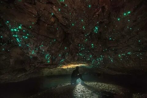 Waitomo Glowworm Caves, New Zealand #nature #photography ...