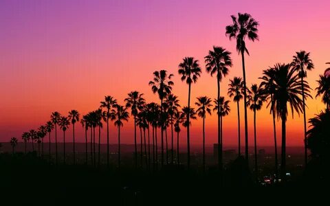 Los Angeles Sunset Wallpapers - 4k, HD Los Angeles Sunset Ba