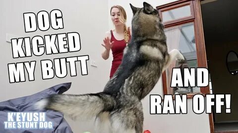 Workout With My DOG! He KICKED My Butt And Ran Off!! - YouTube