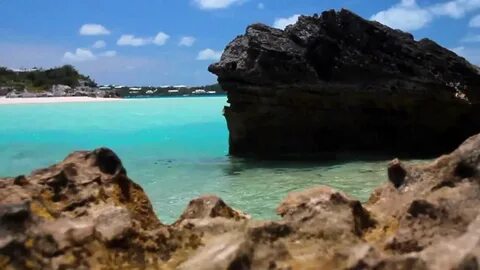 Trip Of A Lifetime - Cliff Jumping in Bermuda - YouTube