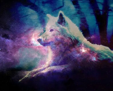 wolf galaxy Wolf wallpaper, Galaxy wolf, Anime galaxy