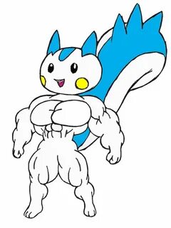 Pachirisu Pokémon Know Your Meme