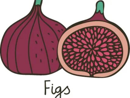 Fig Cliparts - Fig Images Clip Art , Transparent Cartoon - J