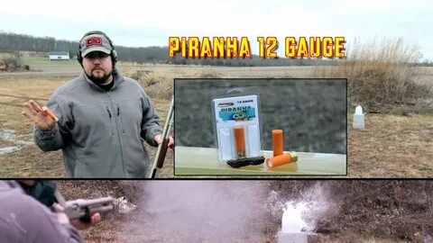 12 Gauge Piranha Ammo - Exotic Shotgun Shell! - YouTube