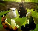 Клан Падающей Воды Коты-Воители. Мир удивительных кошек Amin