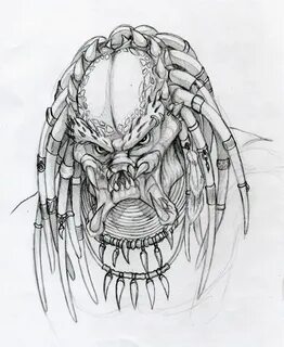 40+ Most Popular Easy Predator Head Drawing - Detodounpoco