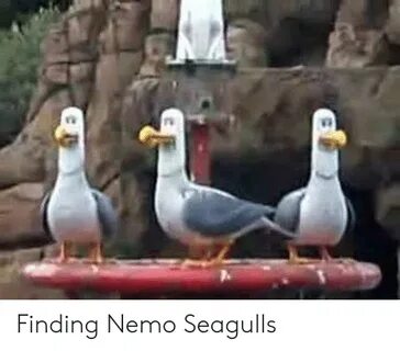 ✅ 25+ Best Memes About Finding Nemo Quotes Finding Nemo Quot