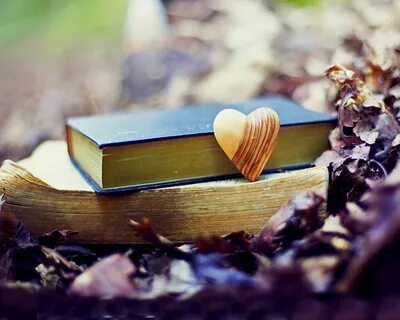 Free download old book leaves park heart love fall autumn bo