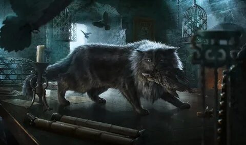 File:Balerion the cat.jpg - A Wiki of Ice and Fire