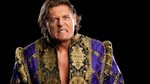 Hi, My Name is: William Regal - Cageside Seats
