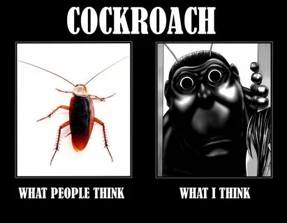 cockroach Terra formars, Fantasy character design, Fantasy c