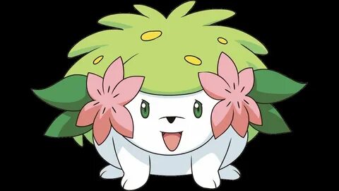 ED - Shaymin sweep - Pokémon Showdown - YouTube