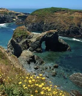 Mendocino Headlands, CA Mendocino headlands state park, Mend