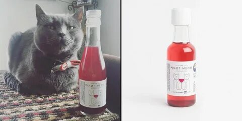 Cat Wine Exists Now, So You Never Have to Drink Alone Again 