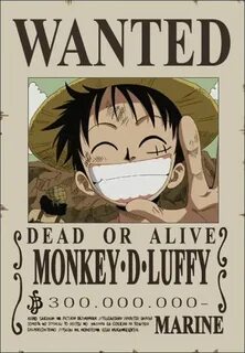 One Piece Wanted Monkey d luffy, Luffy, One piece bounties