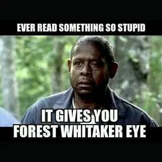 Pin by Tracey McAdams on English Teacher Forest whitaker, Ha