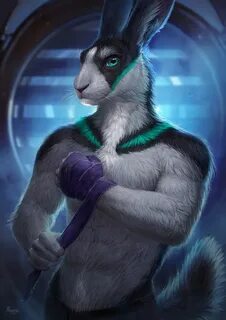 Pin by Miguel Ox on Furry Anime furry, Anthro furry, Furry a