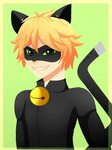 45+ Anime Wallpaper Cat Noir Pictures