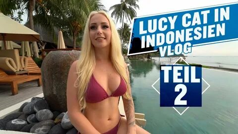 LUCY CAT IN INDONESIEN, LOMBOK TEIL 2 ! URLAUB`S VLOG - YouT