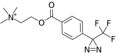 File:TDBzcholine.svg - Wikipedia