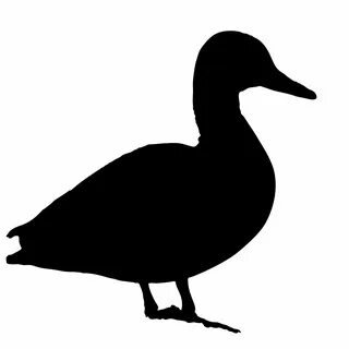duck silloets Duck silhouette, Silhouette clip art, Bird ste