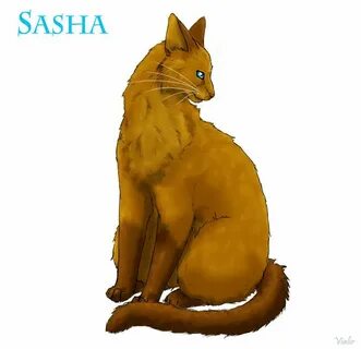 Sasha by Vialir on deviantART Warrior cat memes, Warrior cat