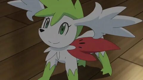 Still waiting for July 8 💙 💛 sur Twitter : "Since Shaymin Da