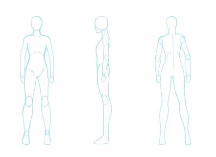 body diagram blank - Clip Art Library