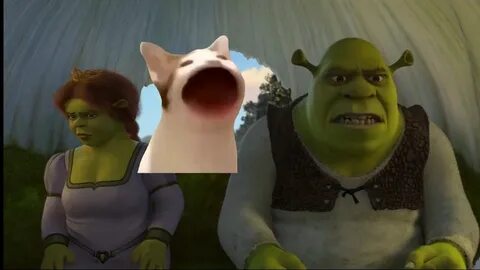 Pop cat meme Shrek 2 - YouTube